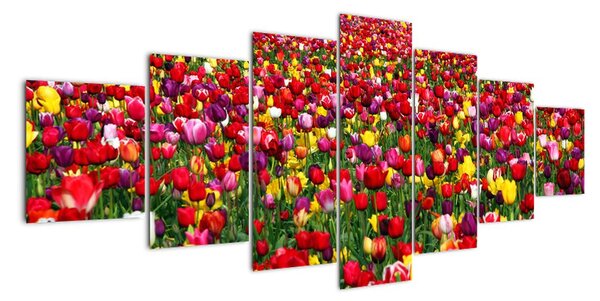 Obraz tulipánů (210x100cm)