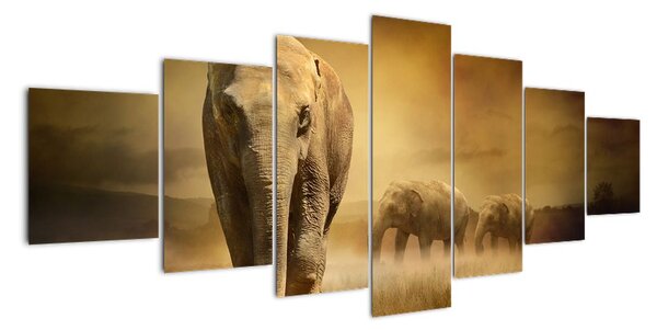 Obraz slona (210x100cm)