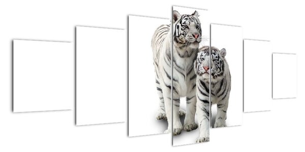 Tygr bílý - obraz (210x100cm)