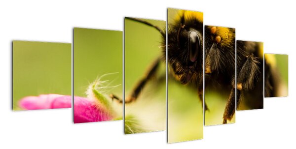 Včela - obraz (210x100cm)