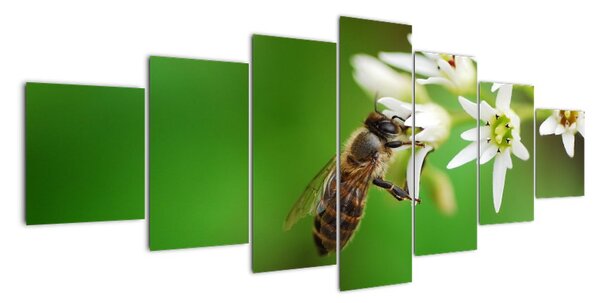 Fotka včely - obraz (210x100cm)