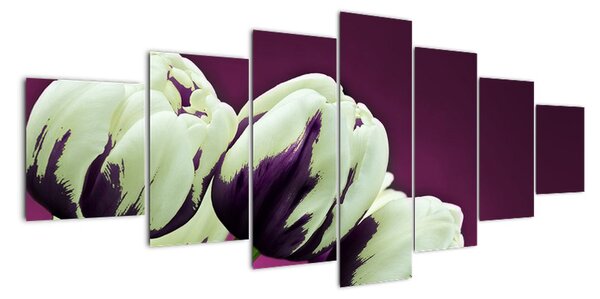Makro tulipánů - obraz (210x100cm)