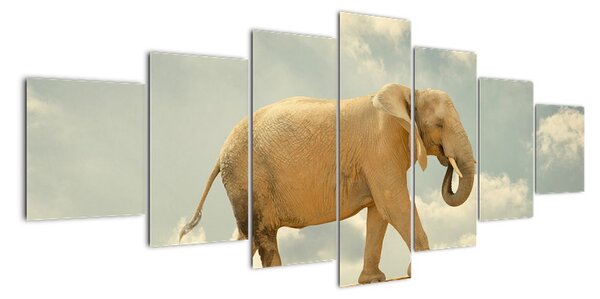 Slon na laně, obraz (210x100cm)