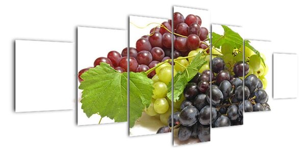 Hroznové víno - obrazy (210x100cm)