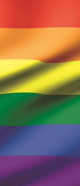 Fototapeta na dveře Waving rainbow flag vlies 91 x 211 cm