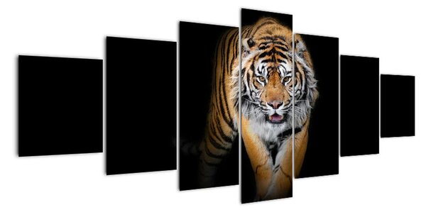 Tygr, obraz (210x100cm)
