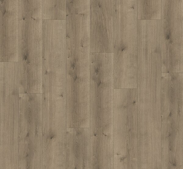 PARADOR Modular one hydron Dub pure perlově šedý struktura dřeva 1746935 - 2.02 m2