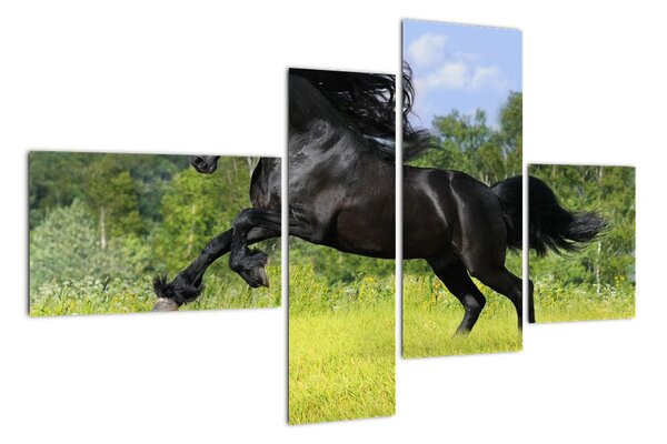 Obraz koně (110x70cm)