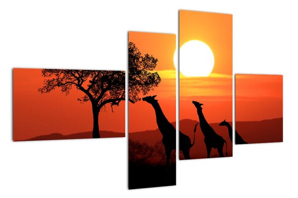 Obraz žirafy při západu slunce (110x70cm)