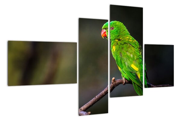 Obraz zeleného papouška (110x70cm)
