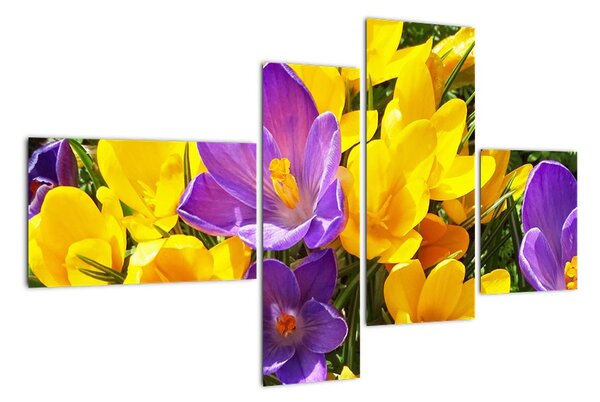 Obraz květiny (110x70cm)