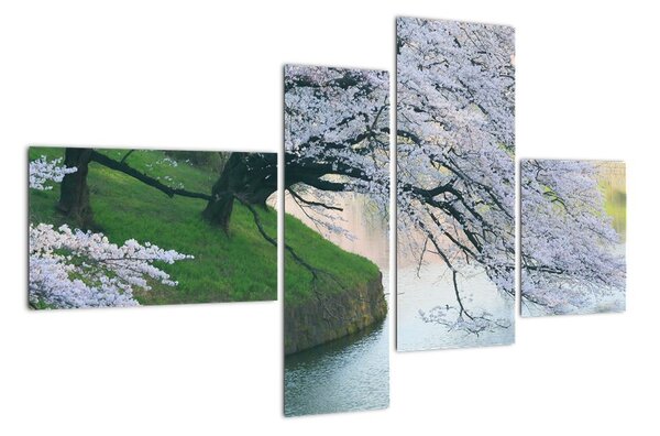 Obraz kvetoucích stromů (110x70cm)