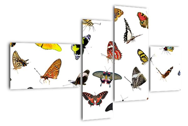 Obrazy motýlů (110x70cm)