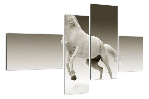 Obrazy bílého koně (110x70cm)