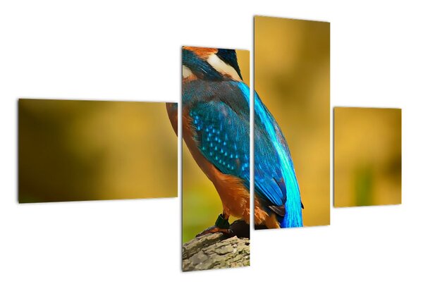 Obraz - barevný pták (110x70cm)