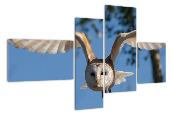 Obraz letící sovy (110x70cm)