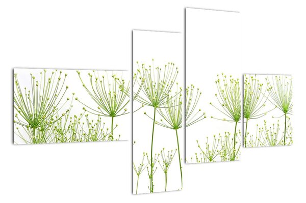 Obraz rostlin na bílém pozadí (110x70cm)