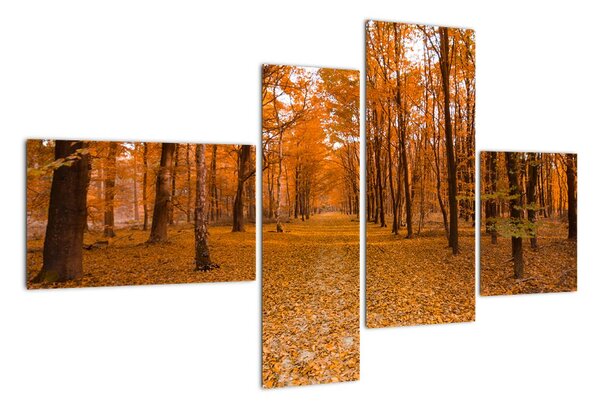 Obraz lesní cesty (110x70cm)