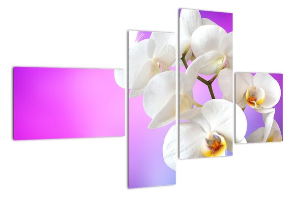 Obraz s orchidejí (110x70cm)