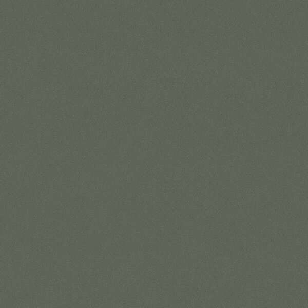 Vliesová tapeta na zeď, mechová zelená, 7592, Pigment, Borastapeter