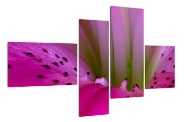 Detail květu - moderní obraz (110x70cm)