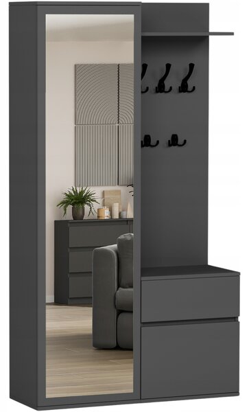 Šatní skříň Framire dvoudveřová se zrcadlem antracitová 100 cm 181,6 cm