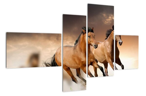 Koně - obraz (110x70cm)