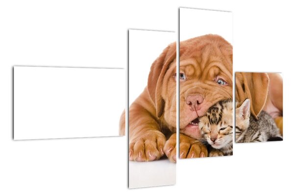 Štěně a kotě - obraz (110x70cm)