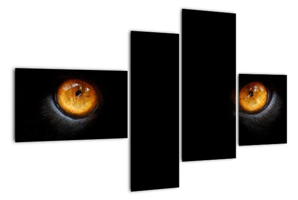 Zvířecí oči - obraz (110x70cm)