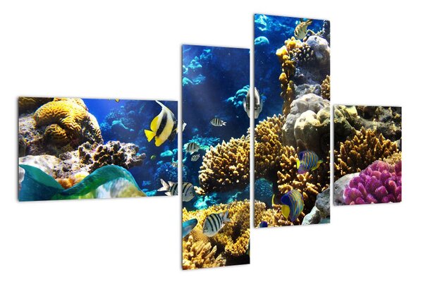 Podmořský svět - obraz (110x70cm)
