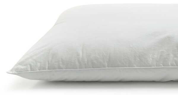 Textil Antilo Výplň polštáře mikrovlákno 50x50 cm