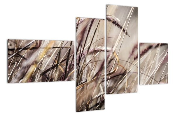 Obraz pšenice (110x70cm)