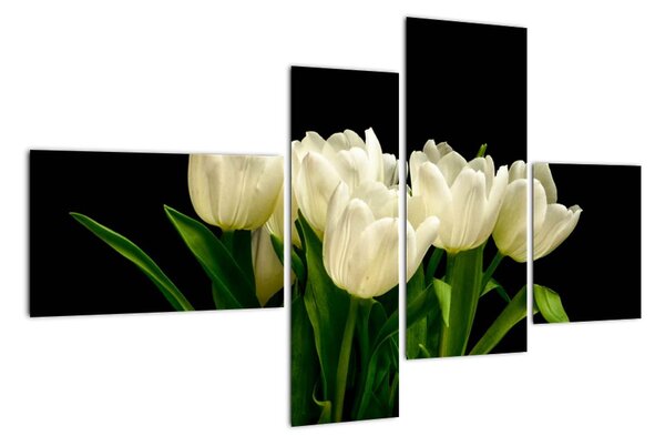 Bílé tulipány - obraz (110x70cm)