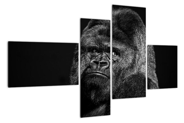 Obraz opice (110x70cm)