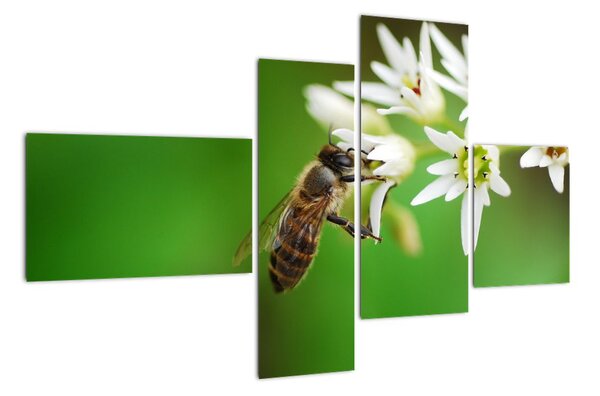 Fotka včely - obraz (110x70cm)