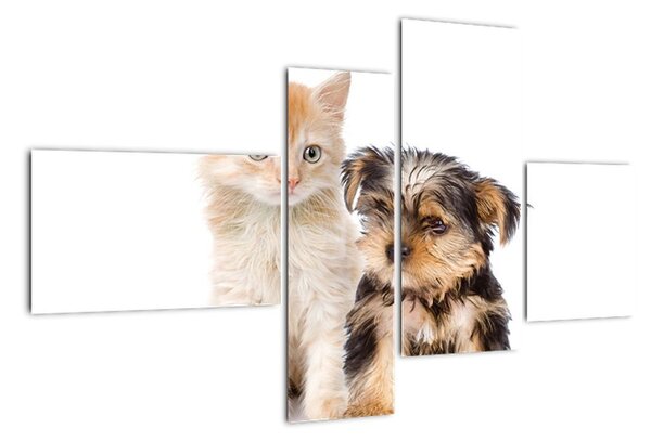 Kotě a štěně - obraz (110x70cm)