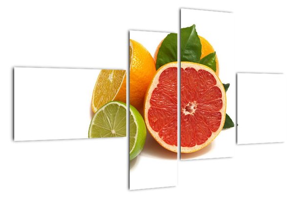 Citrusové plody - obraz (110x70cm)