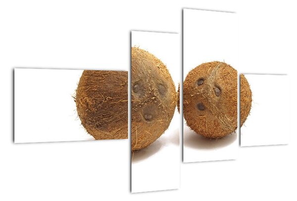 Kokosový ořech, obraz (110x70cm)