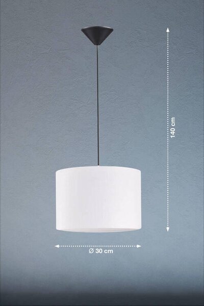 STROPNÍ ZÁVĚSNÉ SVÍTIDLO, 30 cm Fischer & Honsel - Online Only svítidla, Online Only