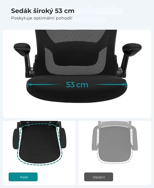 Kancelářská židle ERGO se sklopnými područkami, max. 120 kg, černá SongmicsHome