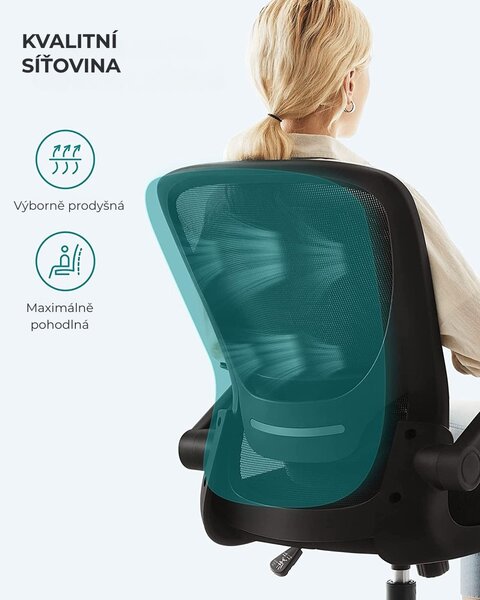 Kancelářská židle ERGO se sklopnými područkami, max. 120 kg, černá SongmicsHome