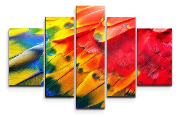 Sablio Obraz - 5-dílný Barevné peří 2 - 125x90 cm