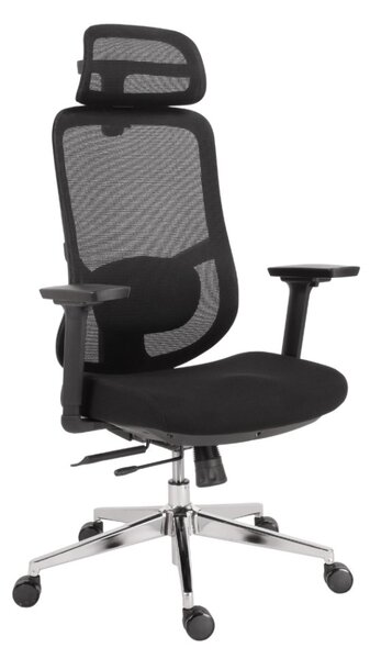 Kancelářská ergonomická židle Neoseat ALLY — černá, nosnost 150 kg