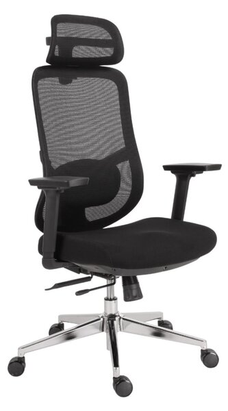 Kancelářská ergonomická židle Neoseat ALLY — černá, nosnost 150 kg