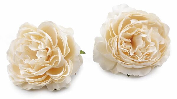 Umělý květ růže Ø7,5 cm balení 2 kusy - 2 krémová