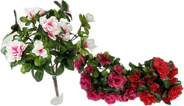 Azalka puget X3 - 36 cm Barva: Růžová