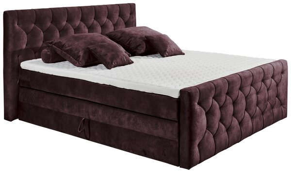 POSTEL BOXSPRING, 180/200 cm, lilková MID.YOU - Postele s úložným prostorem, Online Only