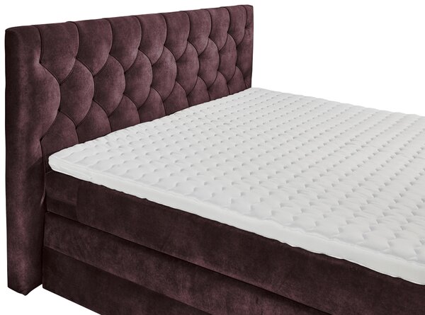 POSTEL BOXSPRING, 180/200 cm, lilková MID.YOU - Postele s úložným prostorem, Online Only