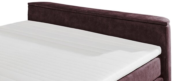 POSTEL BOXSPRING, 180/200 cm, lilková MID.YOU - Postele s úložným prostorem, Online Only
