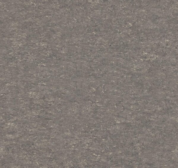 Tarkett | Linoleum Veneto XF2 2,5 mm 14872 604 (Tarkett), šíře 200 cm